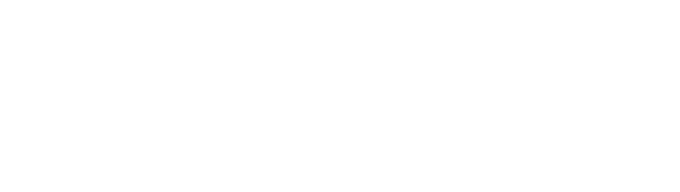 Nicola Family Foundation logo